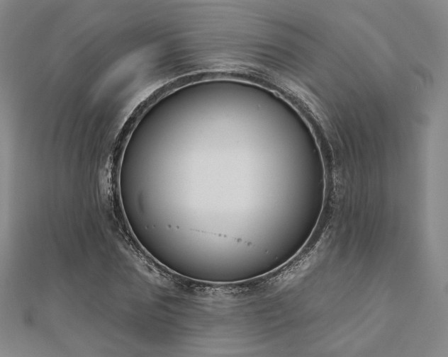 X0000111000875200906191549