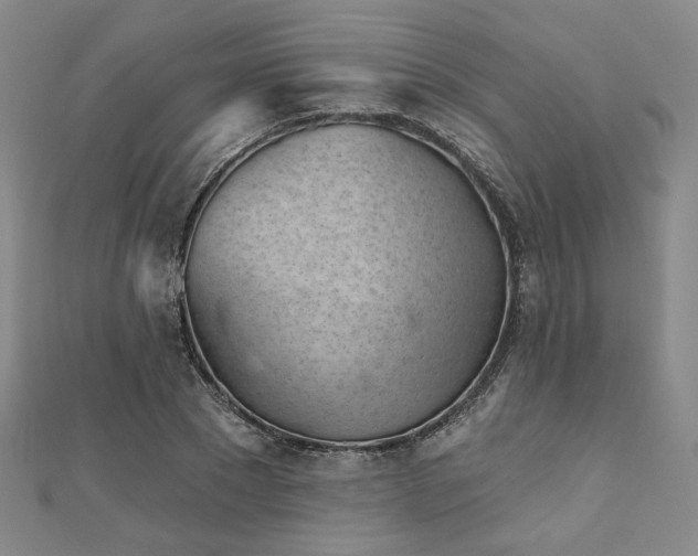 X0000111000881200906191549