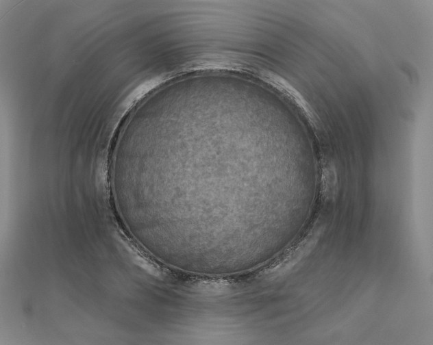 X0000111000882200906191549
