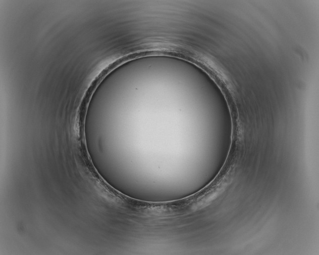X0000111000883200906191549