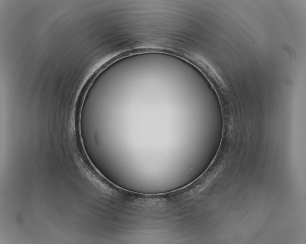 X0000111000884200906191549