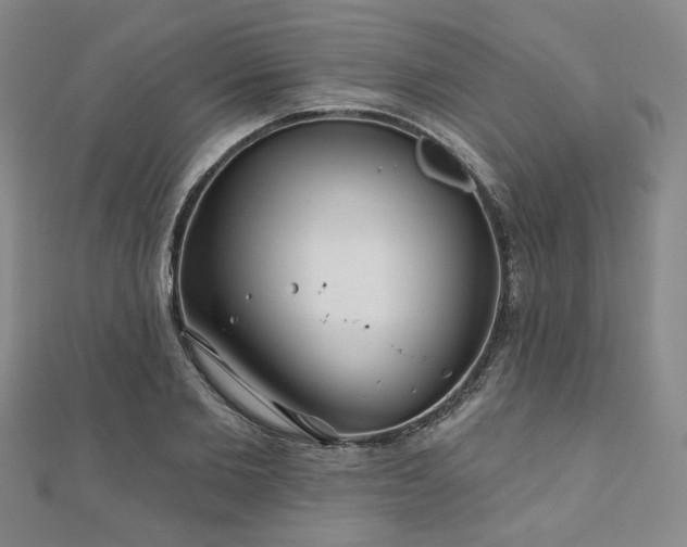 X0000111000885200906191549