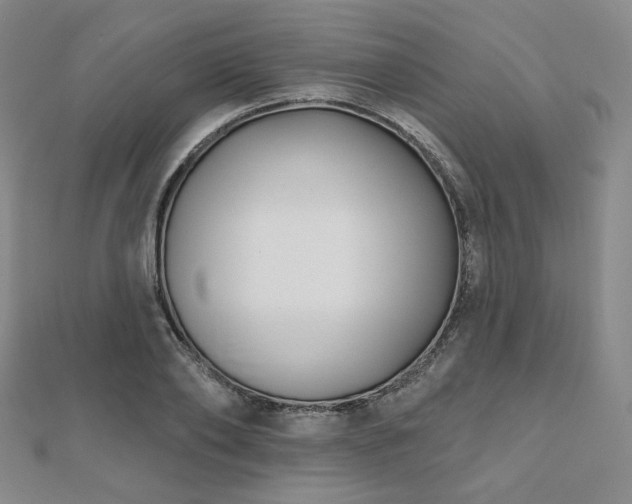 X0000111000886200906191549