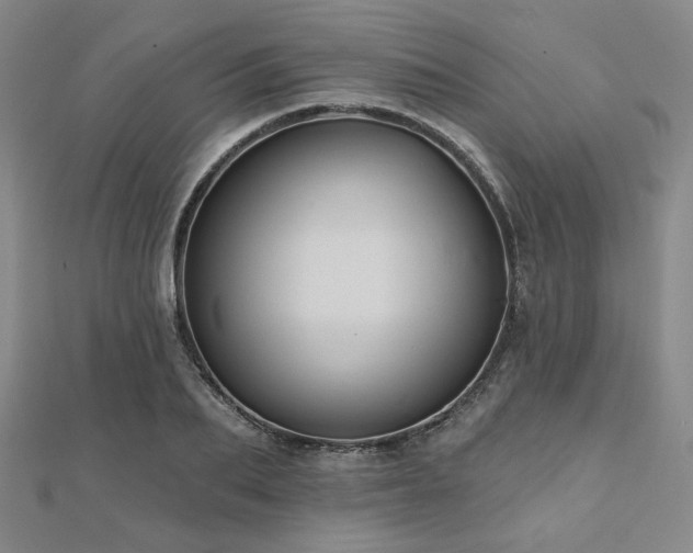 X0000111000887200906191549