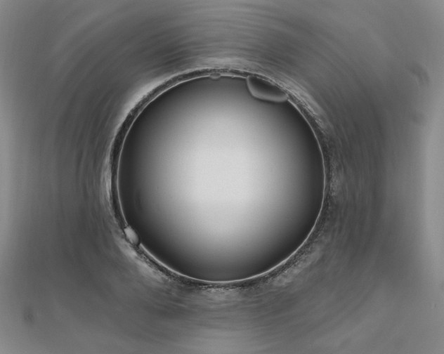 X0000111000888200906191549