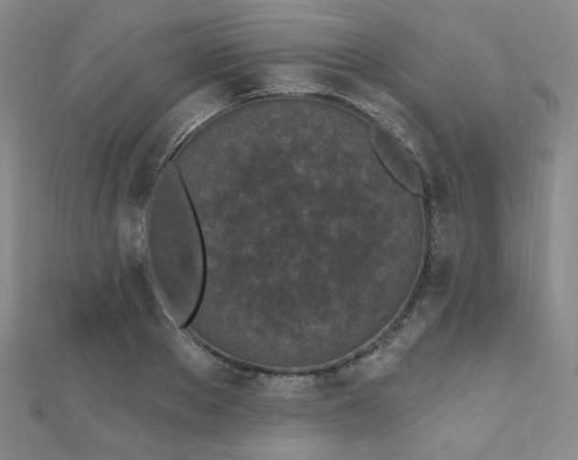 X0000111000889200906191549
