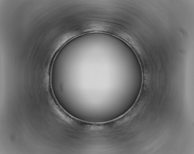 X0000111000890200906191549