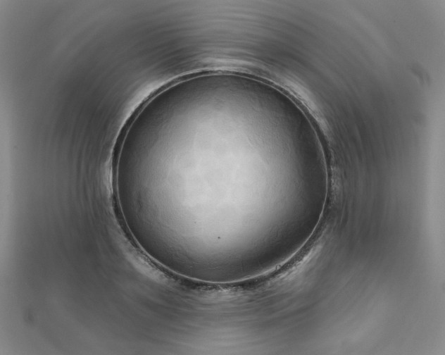 X0000111000891200906191549