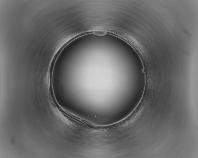 X0000111000892200906191548