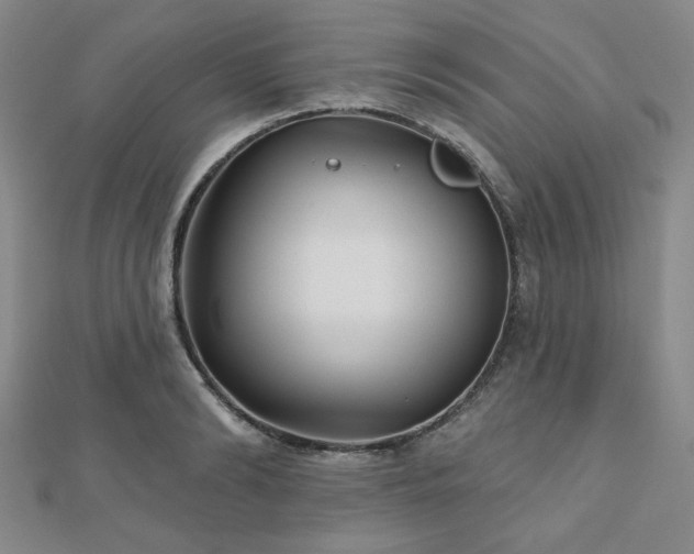 X0000111000894200906191548