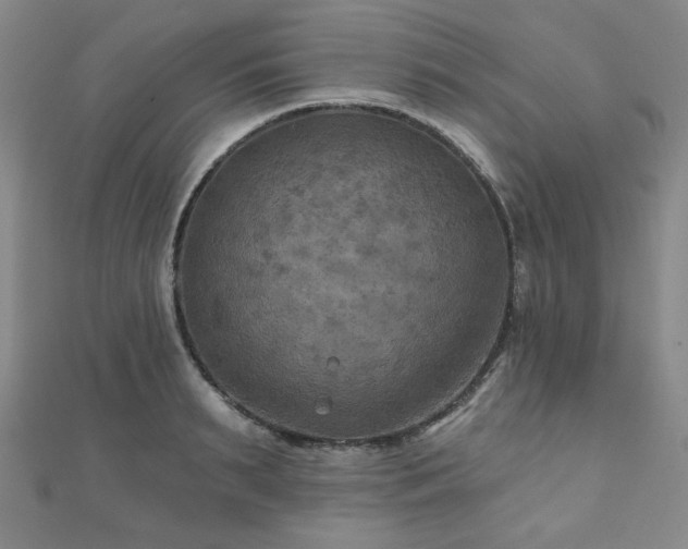 X0000111000895200906191548