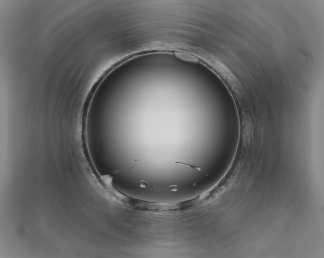X0000111000896200906191548