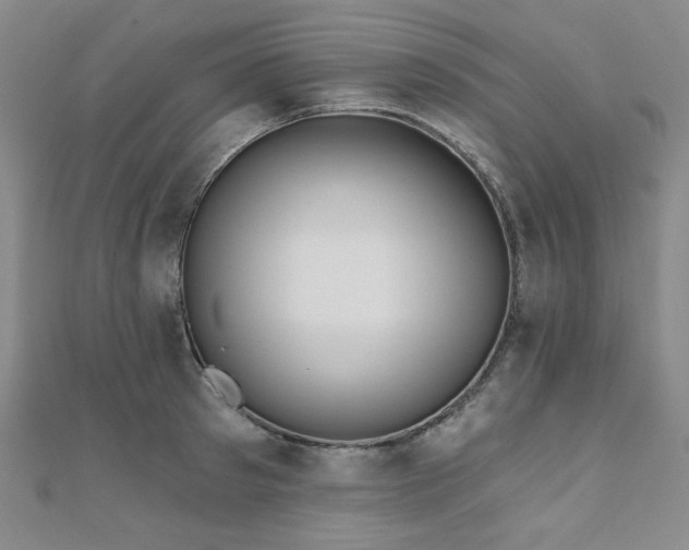 X0000111000897200906191548