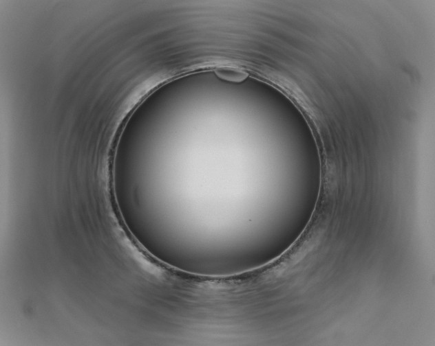 X0000111000898200906191548