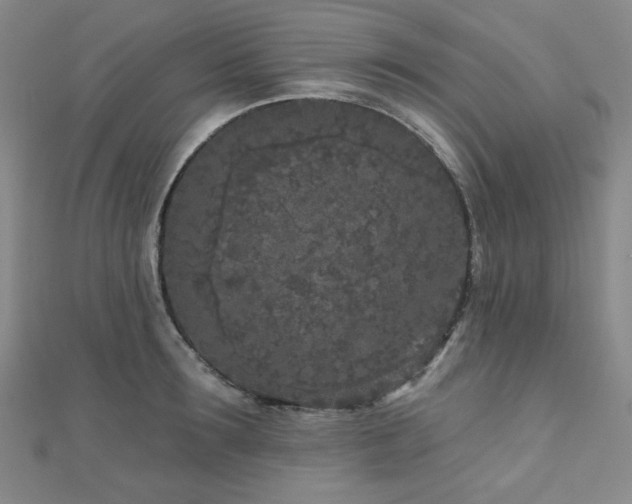 X0000111000899200906191548
