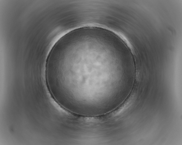 X0000111000903200906191548