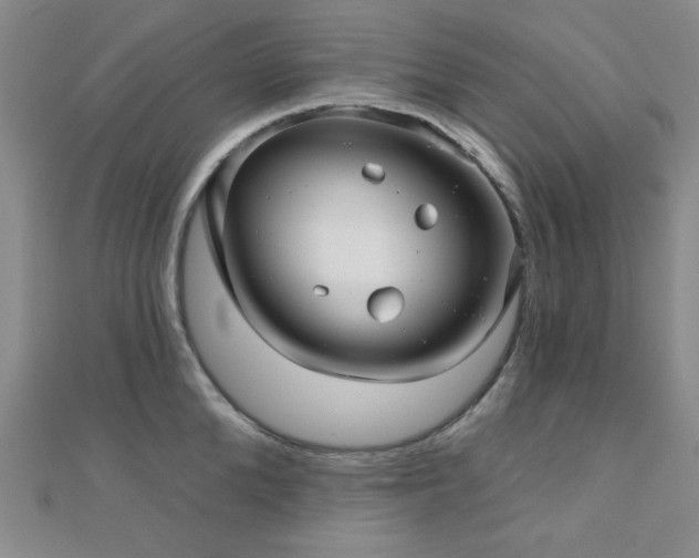 X0000111000904200906191548