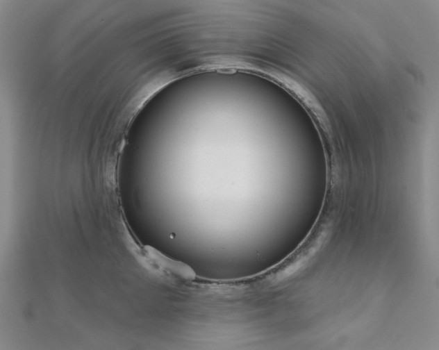 X0000111000905200906191548