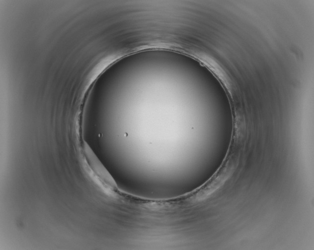X0000111000906200906191548