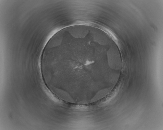 X0000111000907200906191548
