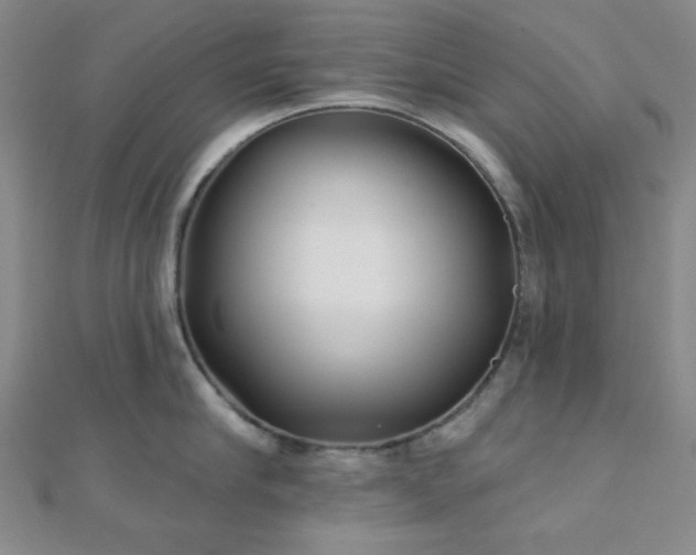 X0000111000910200906191548