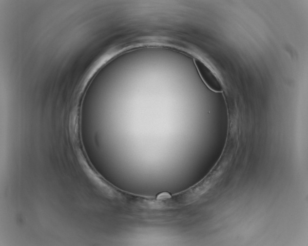 X0000111000911200906191548