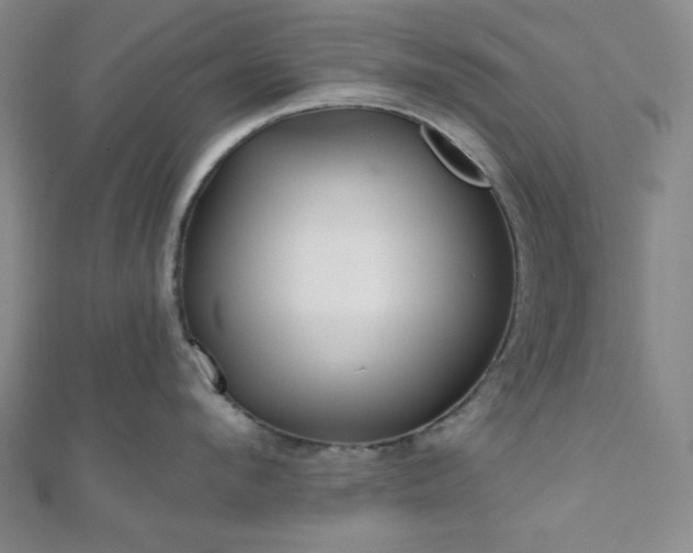 X0000111000912200906191548