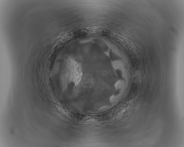 X0000111000913200906191547