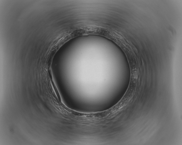 X0000111000916200906191547