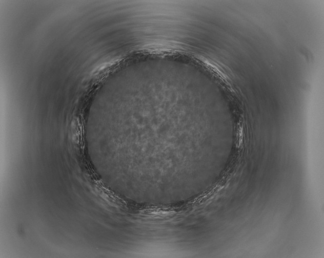 X0000111000917200906191548