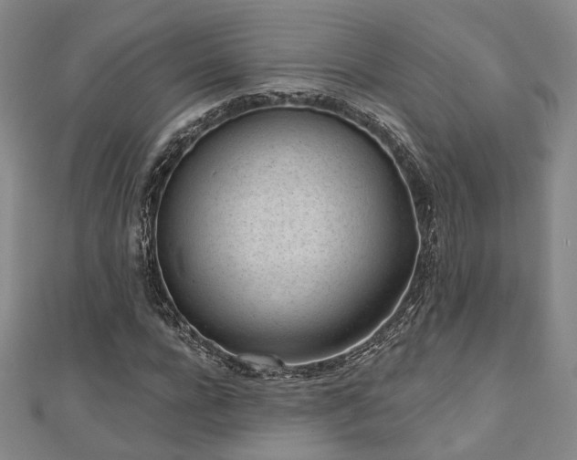 X0000111000920200906191548