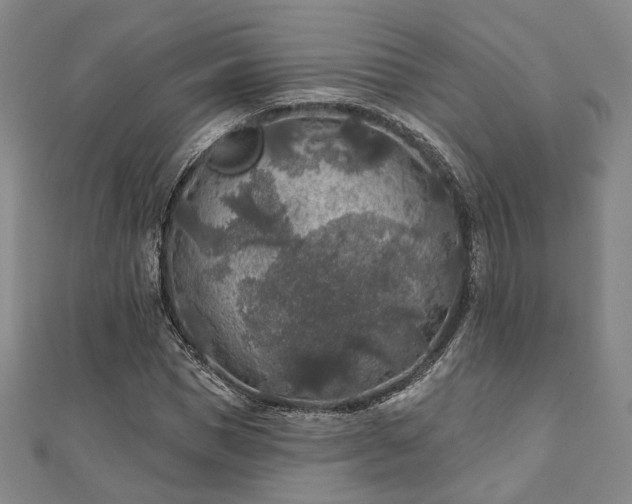 X0000111000921200906191548