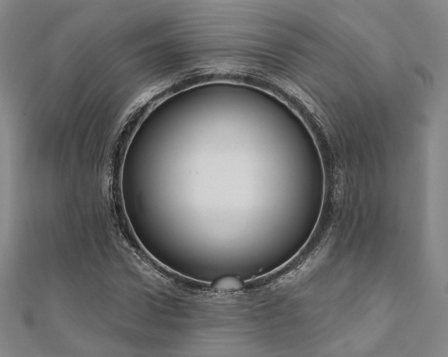 X0000111000922200906191548