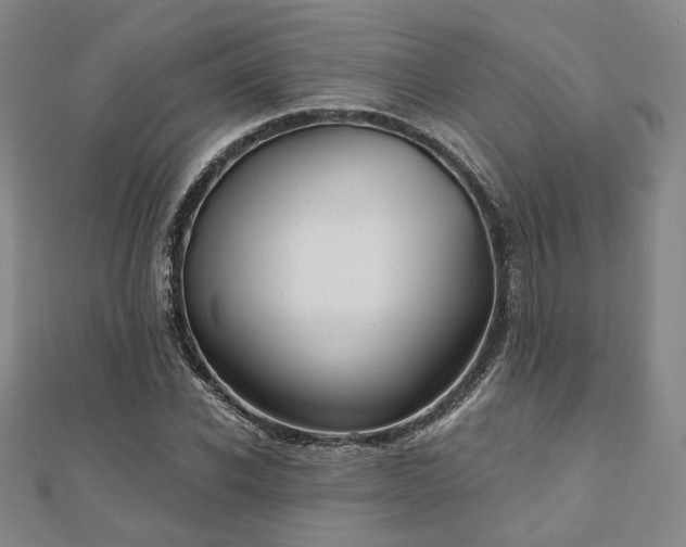 X0000111000926200906191548