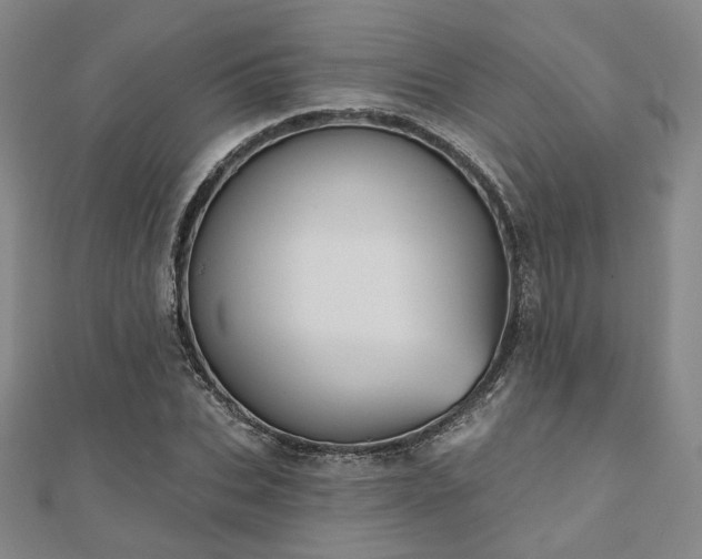 X0000111000927200906191548