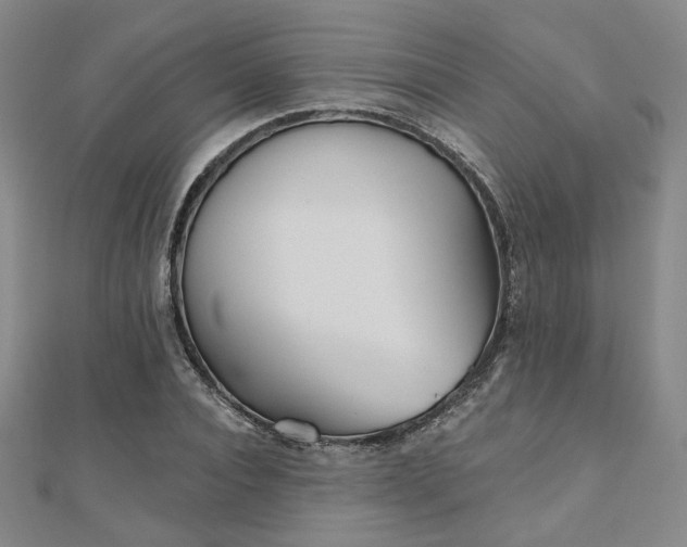 X0000111000928200906191548