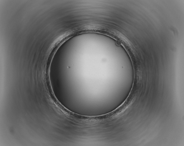 X0000111000930200906191548