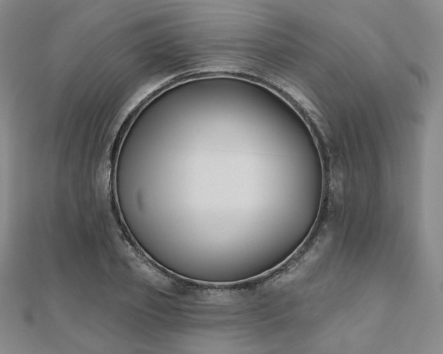 X0000111000933200906191548