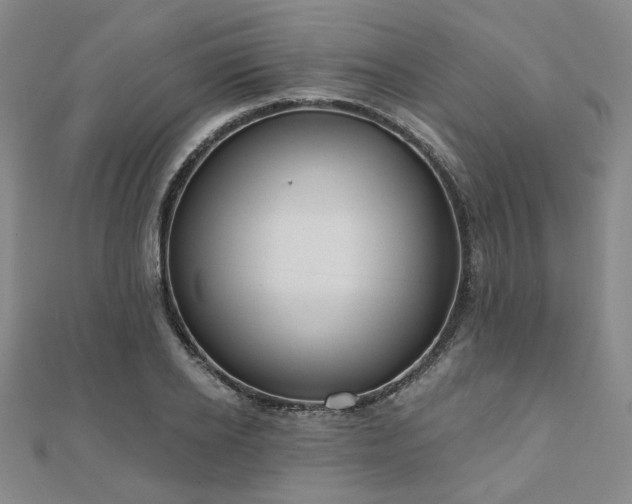 X0000111000934200906191548