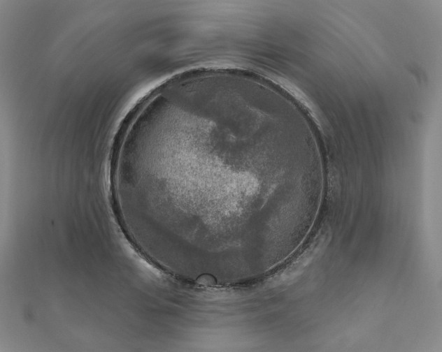X0000111000935200906191548