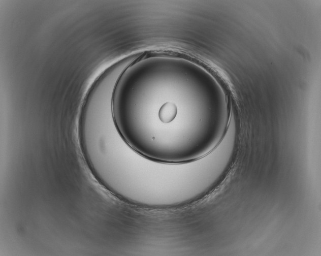 X0000111000936200906191548