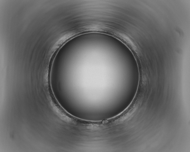 X0000111000938200906191548