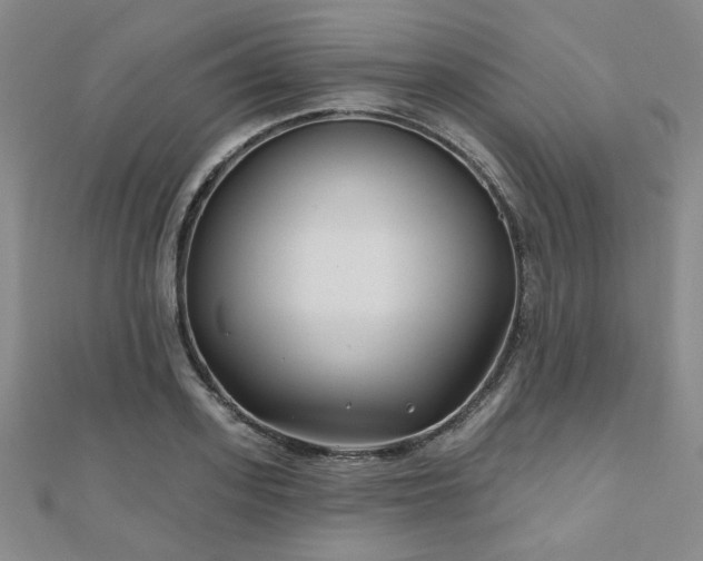 X0000111000939200906191548