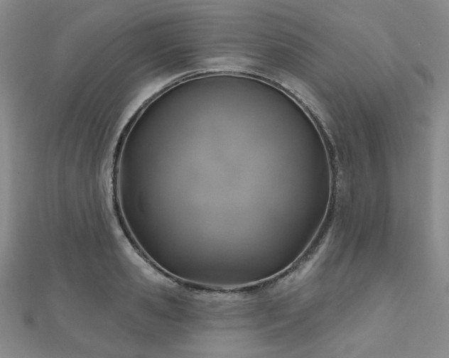 X0000111000941200906191548