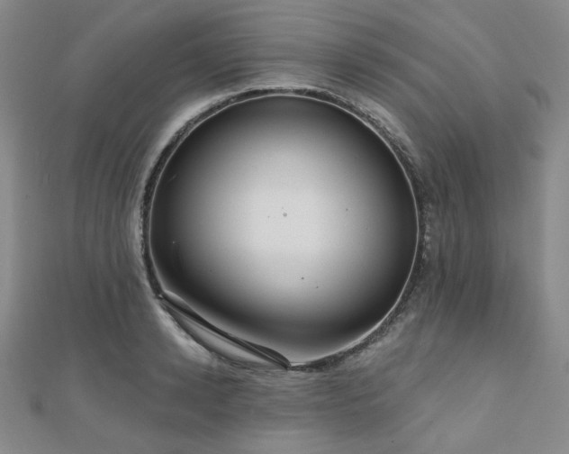 X0000111000942200906191548