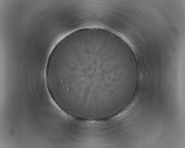 X0000111000943200906191548