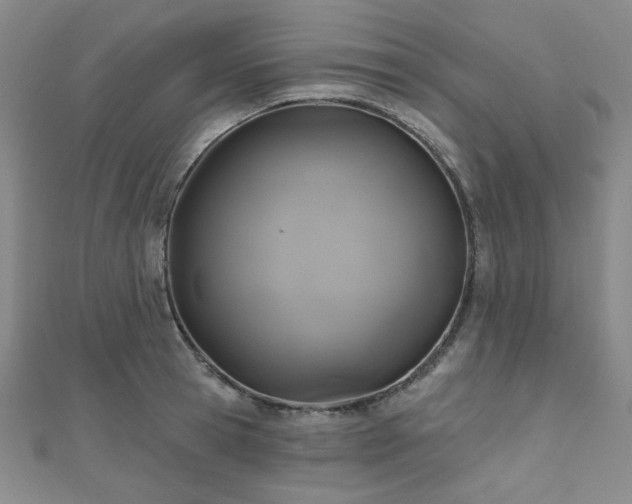 X0000111000945200906191548