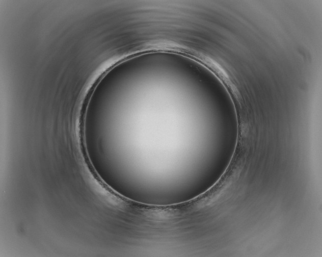 X0000111000947200906191548