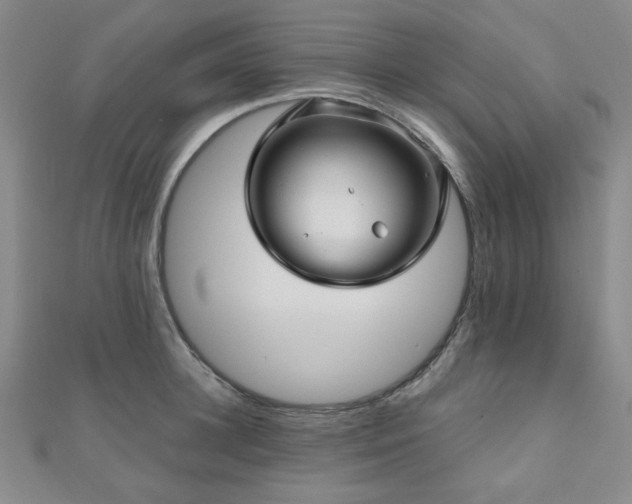 X0000111000948200906191548