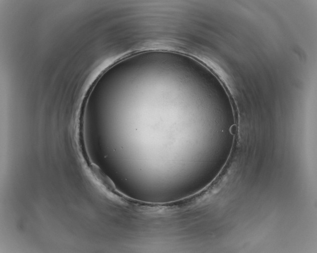 X0000111000949200906191548